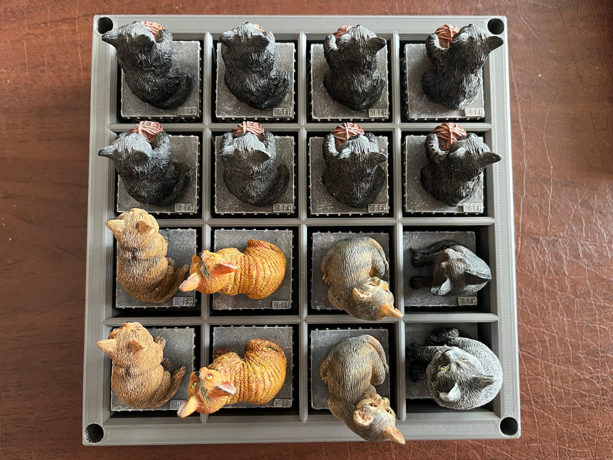Top view of cats pieces in case.