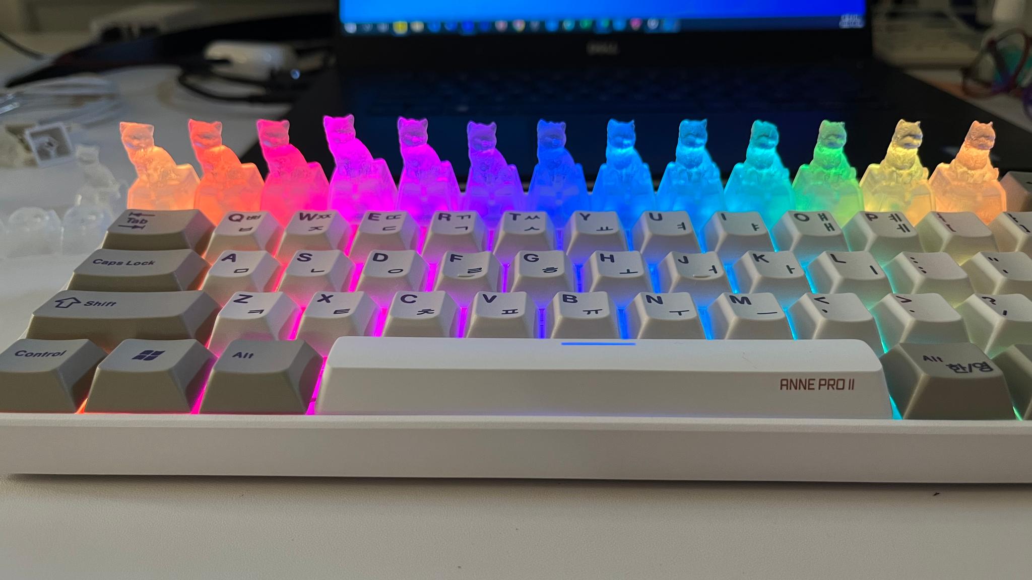 Cat Keycaps on keyboard.